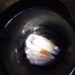 11/22 2020年ドンコの街!函館で楽しむイカ釣り日記。イカはもう絶望ですけど