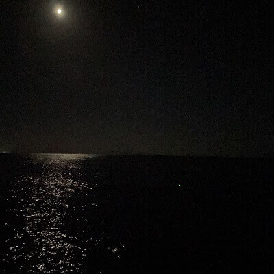 函館住吉漁港で夜釣り